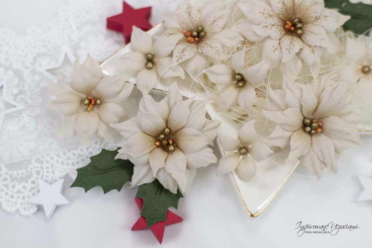 P7-3.jpg