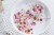shaker mix Rausty and ROSE 2.jpg