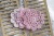 mała-serwetka-na-szydełku-do-scrapbookingu-6cm-odcienie-różowego z podpisami.jpg