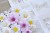 kwiaty-do-kolekcji-picnic-scrapboys-5.jpg