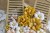 kwiaty-z-tkaniny-do-kolekcji-papierow-paulas-attic-scrapboys-2.jpg